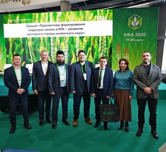 Кадры для халяль: Исламский колледж обозначил проблему дефицита специалистов на агропромышленном форуме